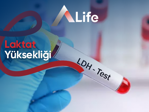Laktat Yüksekliği